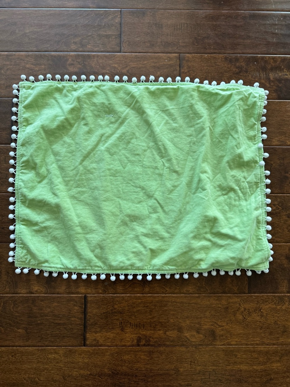 Pottery Barn Teen Light Muffy  Green Pillow Sham with White Pom Pom Trim